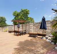 Dingo at White Gum Lodge - Tourism Gold Coast