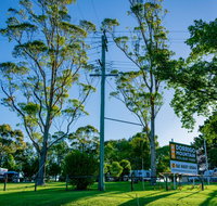 Dorrigo Mountain Holiday Park - Gold Coast