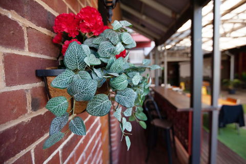 Duke's Inn - Tourism Gold Coast 2