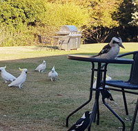 Eildon Parkview Motor Inn - Tourism Gold Coast