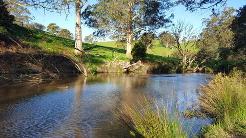 Emerald Hills Cottage - Tourism Gold Coast 1