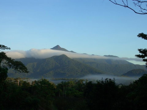 Epiphyte B & B - Tourism Gold Coast 0