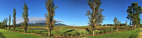 Estate Tuscany - Tourism Gold Coast 1