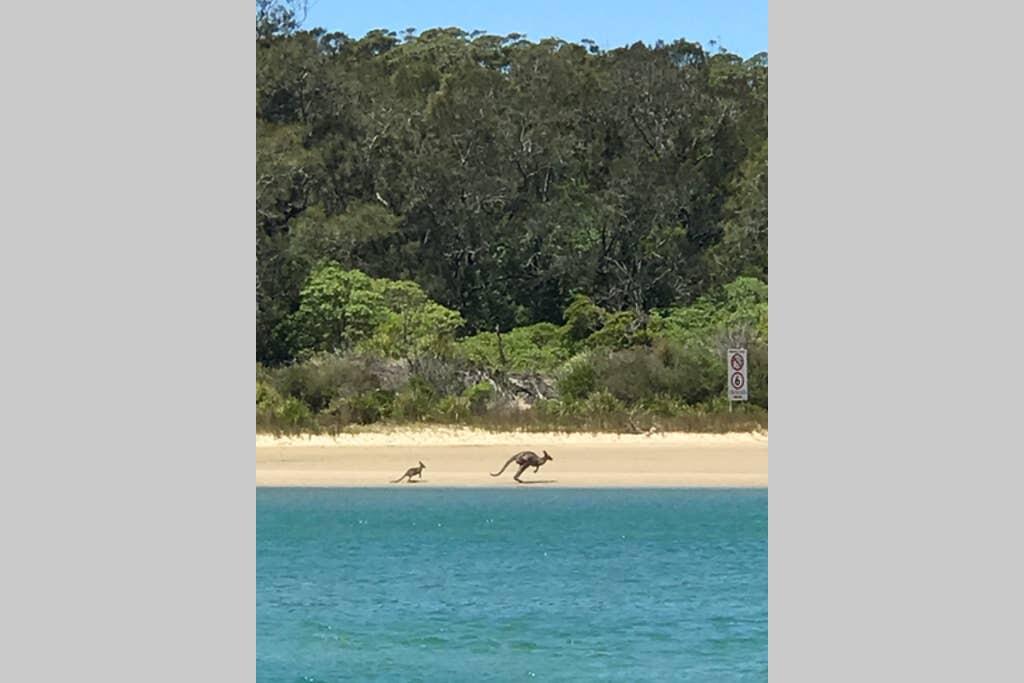 Buangla NSW Tourism Gold Coast