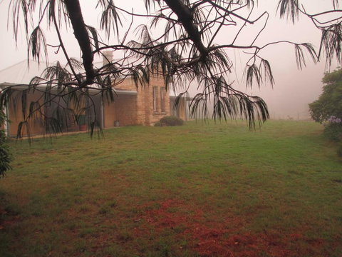 Ferndale B&B - Tourism Gold Coast 1