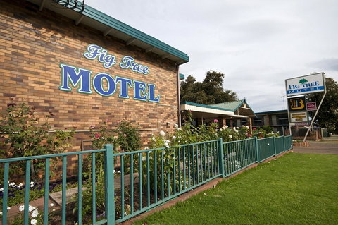 Fig Tree Motel - Tourism Gold Coast 2
