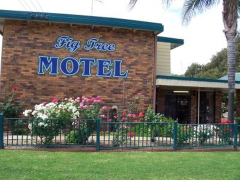 Fig Tree Motel - Tourism Gold Coast 1