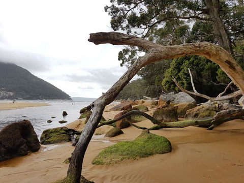 Fish Creek Alkira Accommodation - Tourism Gold Coast 1