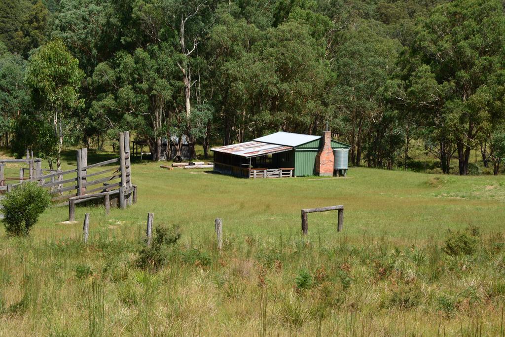 Forest Land NSW Gold Coast