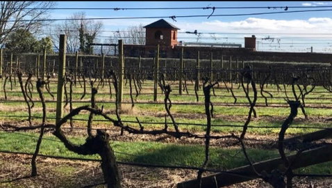 Frogs Pond - Tourism Gold Coast 1