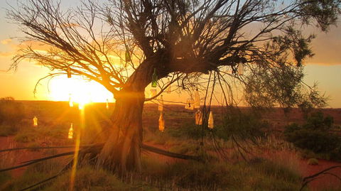Giralia Homestay - Tourism Gold Coast 0