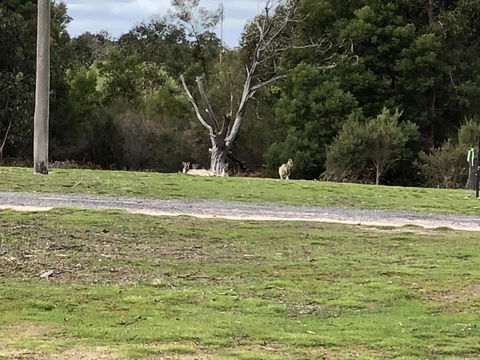 Grampians Old Man Emu Stay - Tourism Gold Coast 3