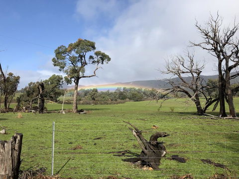 Grampians Old Man Emu Stay - Tourism Gold Coast 2