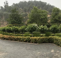 Guinevere - Gold Coast