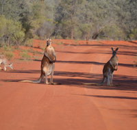 Gundabooka National Park Cottages - Gold Coast