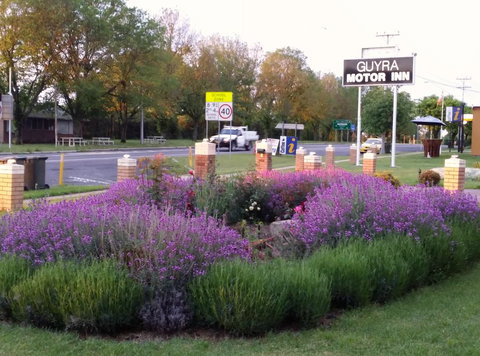 Guyra Motor Inn - Tourism Gold Coast 1