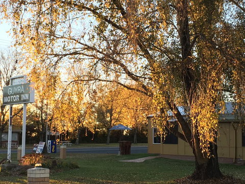 Guyra Motor Inn - Tourism Gold Coast 2