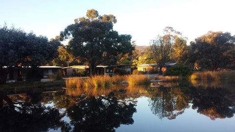 Halls Haven Resort - Tourism Gold Coast 1