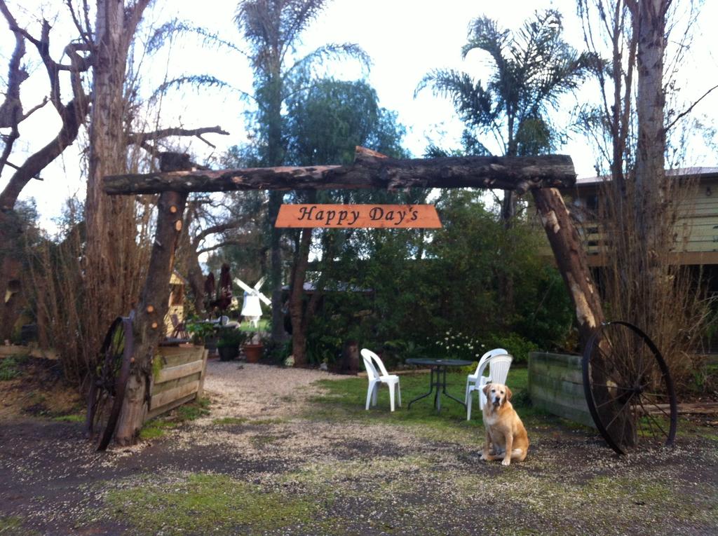 Bindi VIC Tourism Gold Coast