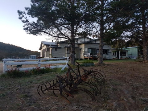 Happy Pig Farm - Tourism Gold Coast 2