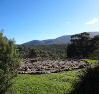 Hawksview at Mafeking - Tourism Gold Coast