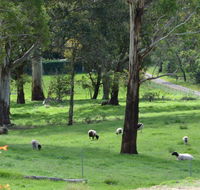 JAN'S ART STUDIO AT ASHBY RISE - Tourism Gold Coast