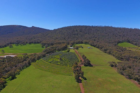 Jilba - Tourism Gold Coast 1