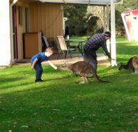 Kalgan River Chalets and Caravan Park - Tourism Gold Coast