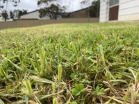 Book Karoonda Accommodation Vacations Tourism Gold Coast Tourism Gold Coast