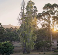 Karribank and the Karri On Bar - Tourism Gold Coast