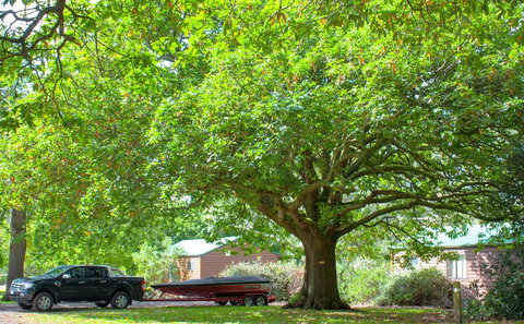 Lakes And Craters Holiday Park - Tourism Gold Coast 2