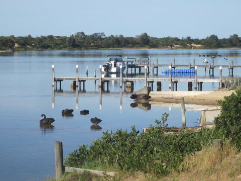 Lakes Waterfront Motel And Cottages With King Beds - Tourism Gold Coast 0