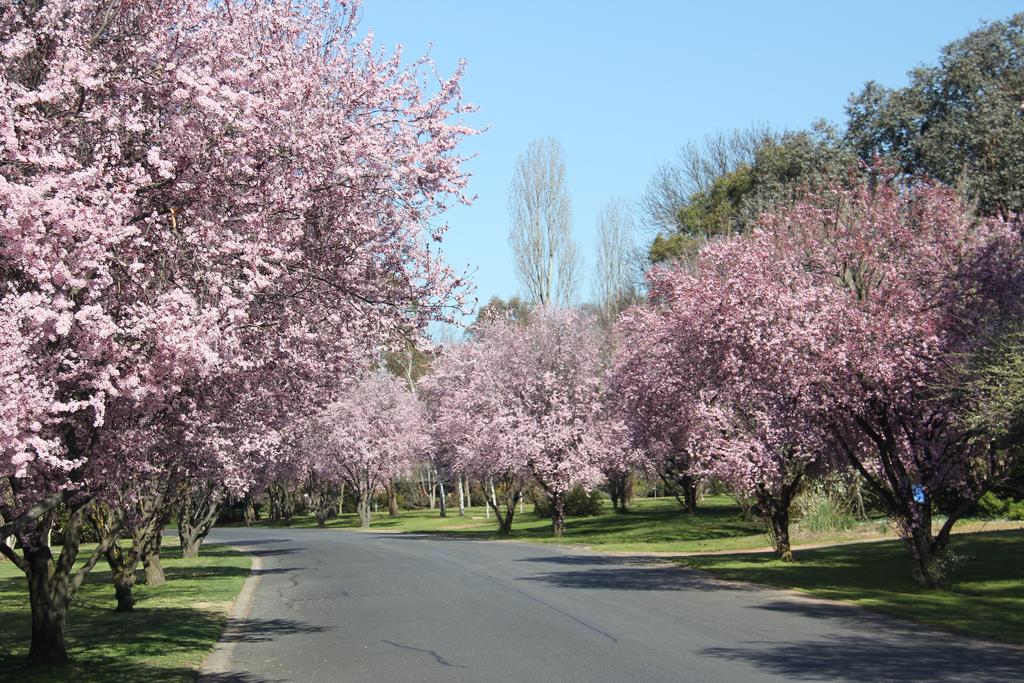 Kelso NSW Tourism Gold Coast