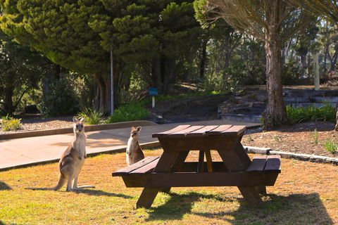 Leura Lodge At Mt Victoria - Tourism Gold Coast 2