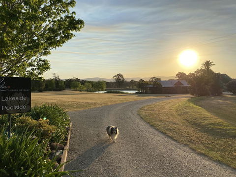 Lilies Luxury Retreats - Gold Coast 3