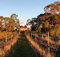 Lillicur Vineyard BB - Gold Coast