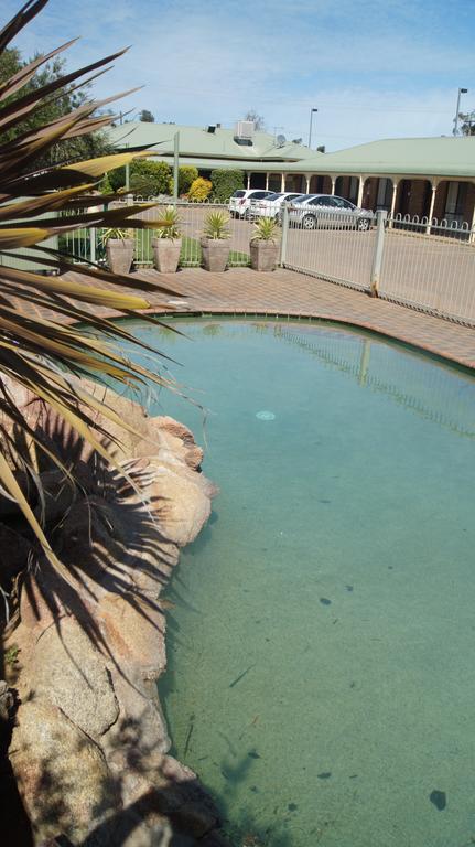 Lincoln Cottage Motor Inn - Tourism Gold Coast 2