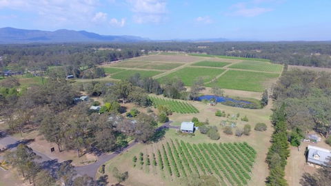McCaffrey's Estate - Tourism Gold Coast 0
