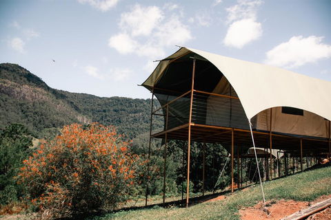 Midginbil Eco Resort - Tourism Gold Coast 0