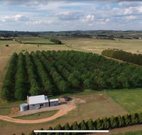 Millthorpe Truffles - Gorgeous getaway for 2 - Tourism Gold Coast