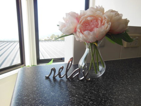 Modern Hobart Apartment With Stunning Views - Tourism Gold Coast 0