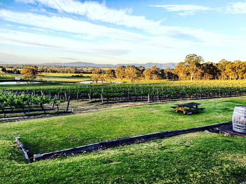 Molly Morgan Vineyard - Tourism Gold Coast 1