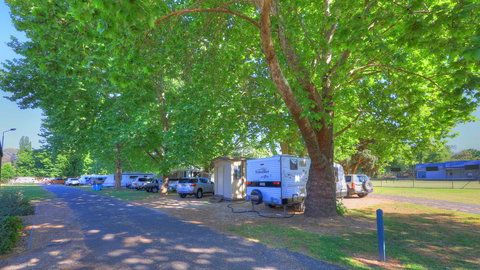 Myrtleford Holiday Park - Gold Coast 1