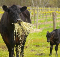 Naimanya Cottage - Tourism Gold Coast