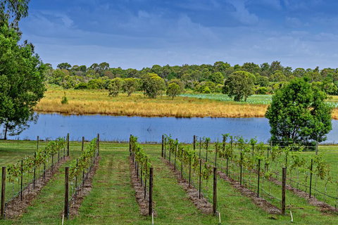 Narangba Motel (formerly Brisbane North B&B And Winery) - Tourism Gold Coast 3