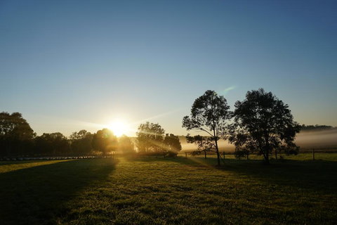 Narangba Motel (formerly Brisbane North B&B And Winery) - Tourism Gold Coast 2