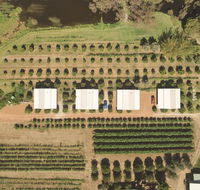Swan Valley Sisters - Gold Coast