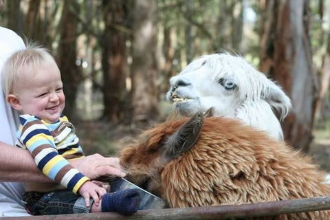 Margaret River Hideaway & Farmstay - Tourism Gold Coast 21