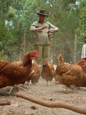 Margaret River Hideaway & Farmstay - Tourism Gold Coast 28