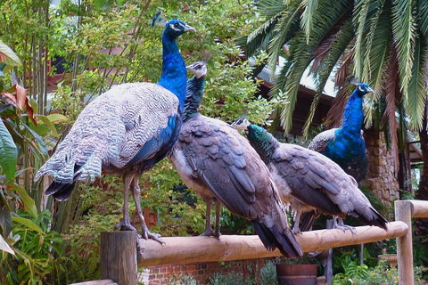 Margaret River Hideaway & Farmstay - Tourism Gold Coast 19